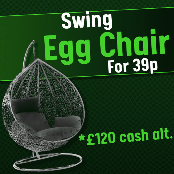 Hanging Egg chair