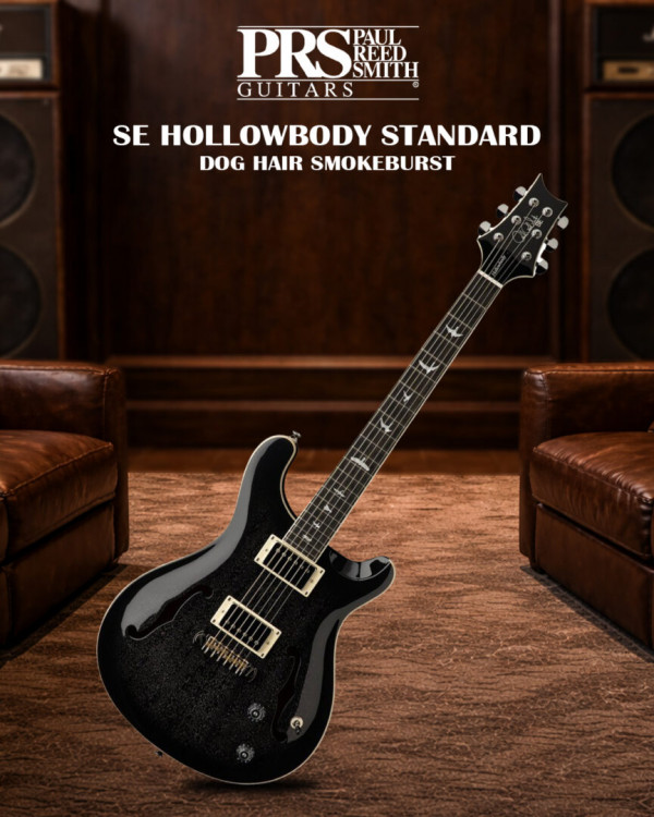 PRS SE Hollowbody Standard in Dog Hair Smokeburst