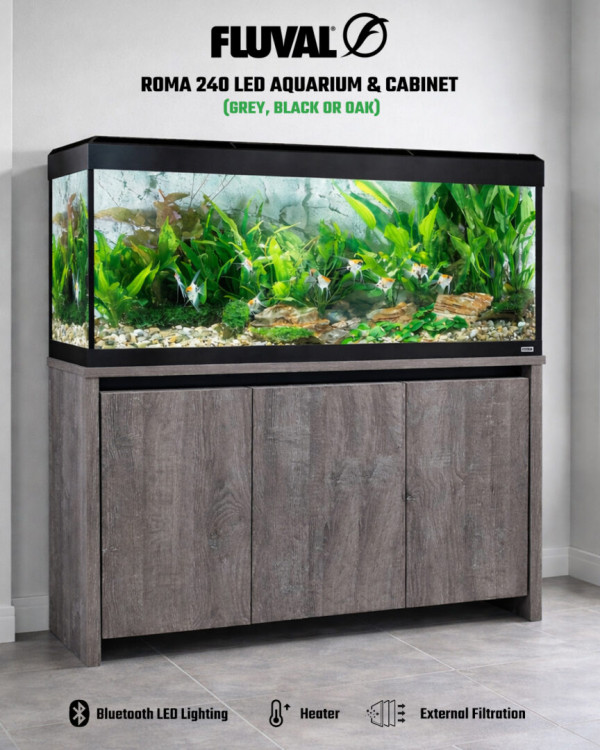 Fluval Roma 240 LED Aquarium & Cabinet (Grey, Black or Oak)