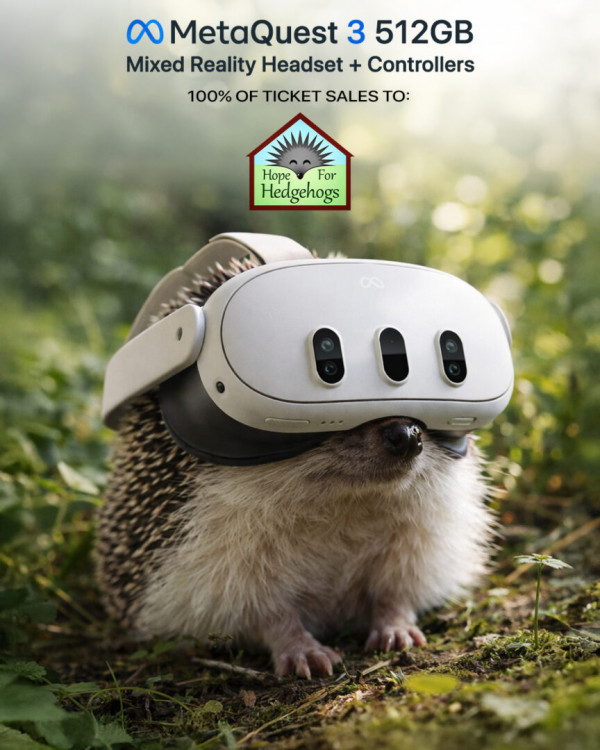 Meta Quest 3 512GB – 100% of Ticket Sales to Charity